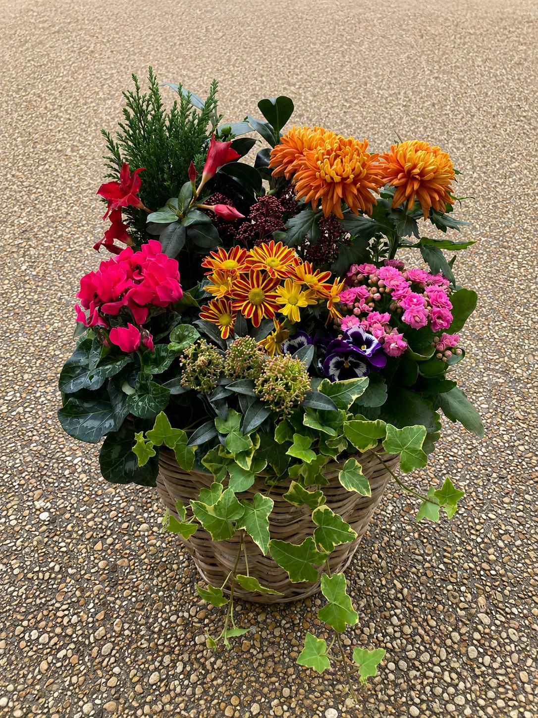 Dernier jardin