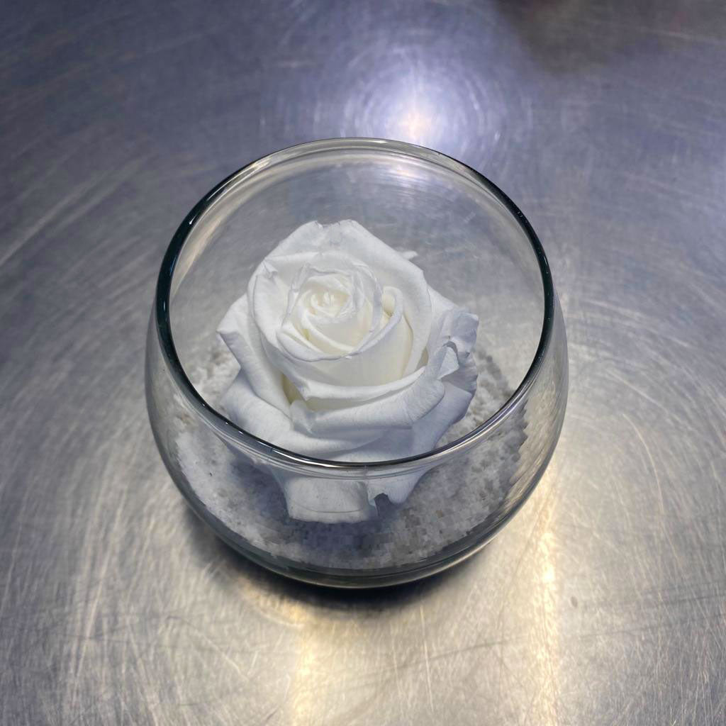 Rose éternelle blanche + bulle