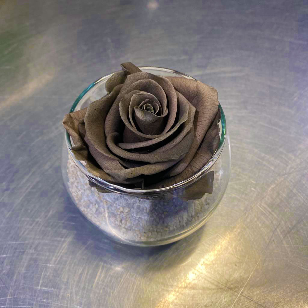 Rose éternelle brune + bulle