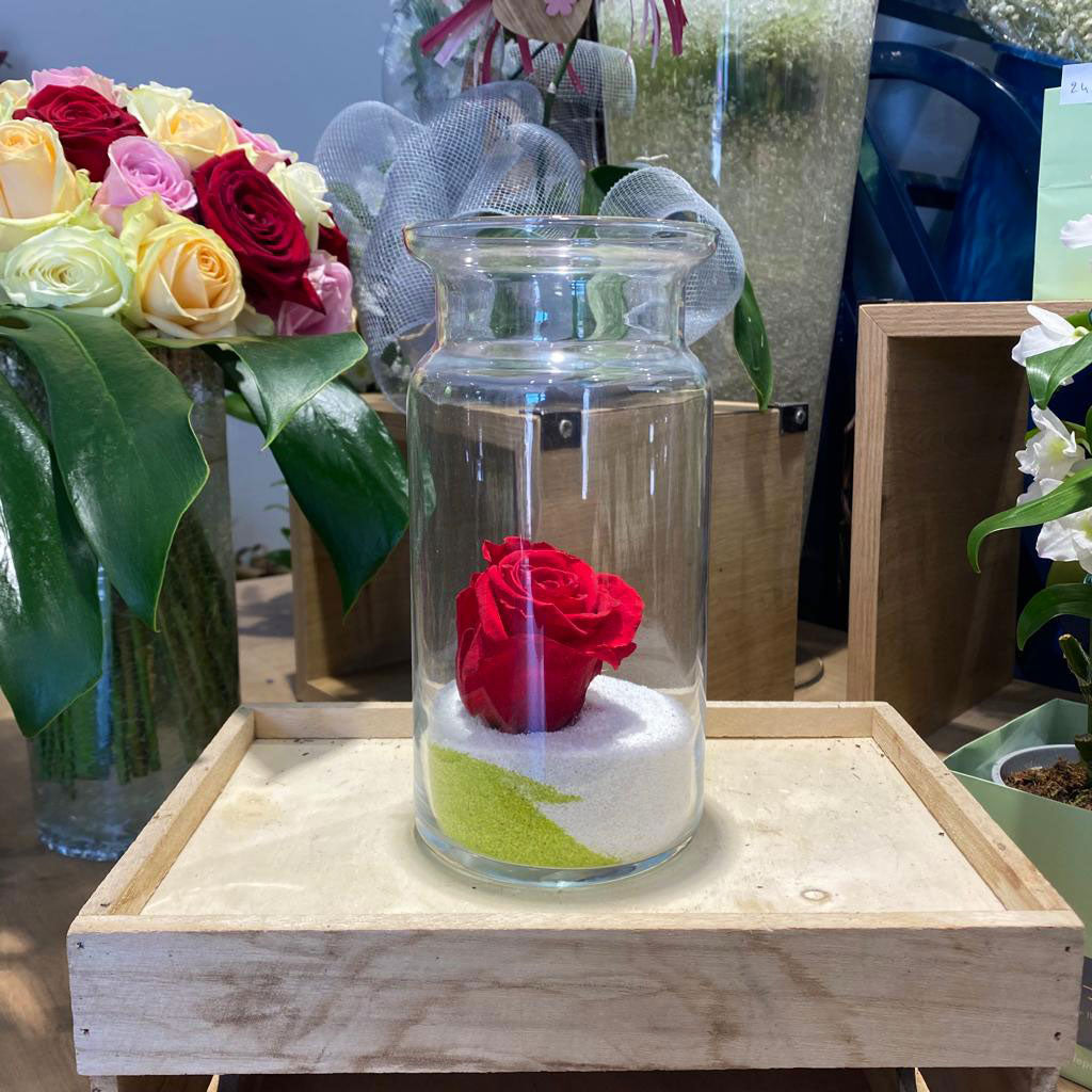 Rose éternelle rouge + vase