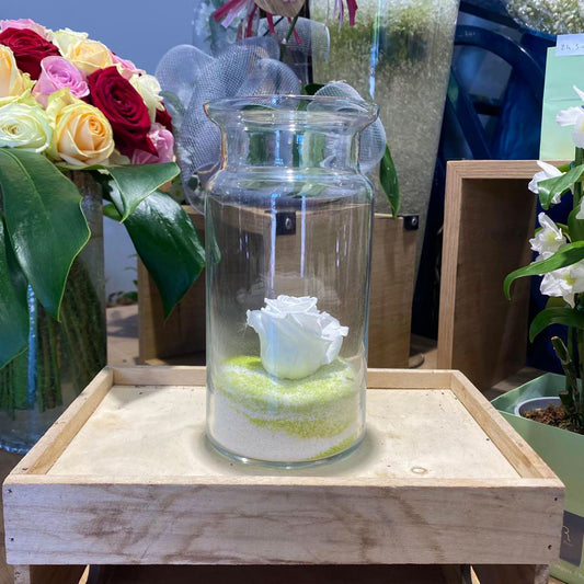 Rose éternelle blanche + vase