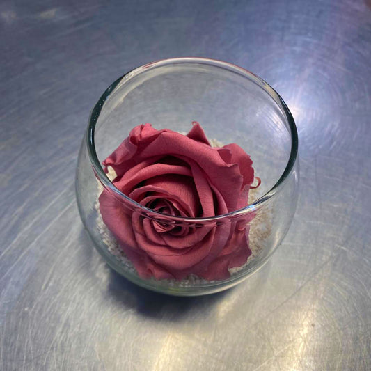 Rose éternelle rose + bulle